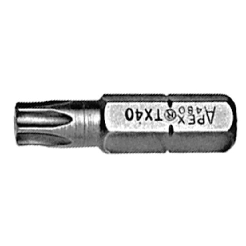 Hexagon Shank Insert Torx Drive Bit 5/16 in