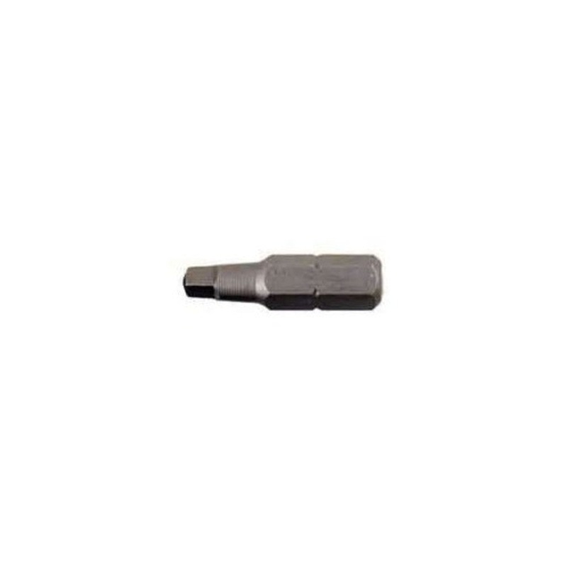 Hexagon Square Drive Bit 1/4 in