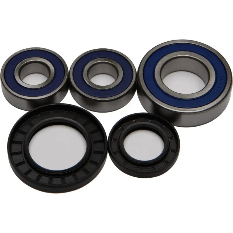 25-1393 Rear Wheel Bearing Kit